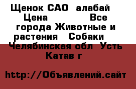 Щенок САО (алабай) › Цена ­ 10 000 - Все города Животные и растения » Собаки   . Челябинская обл.,Усть-Катав г.